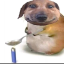 monkeyslayer42