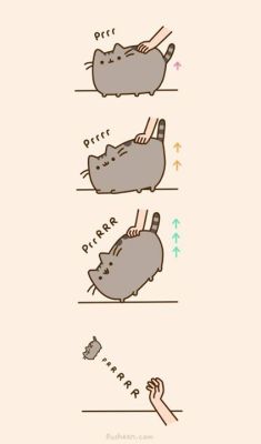 Pusheen :3