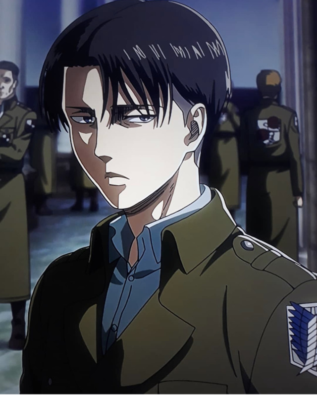 #captain Levi x reader on Tumblr