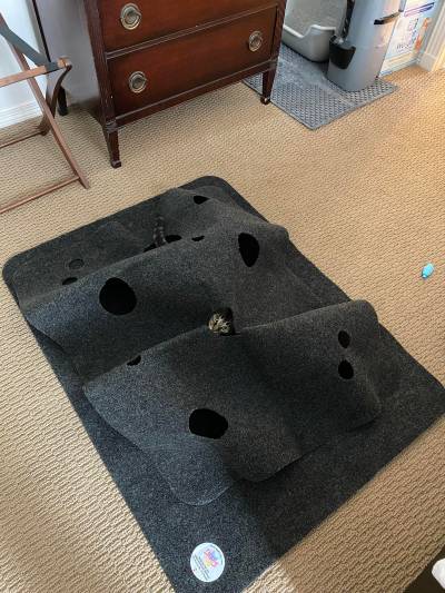 catasters: Nothing to see here!