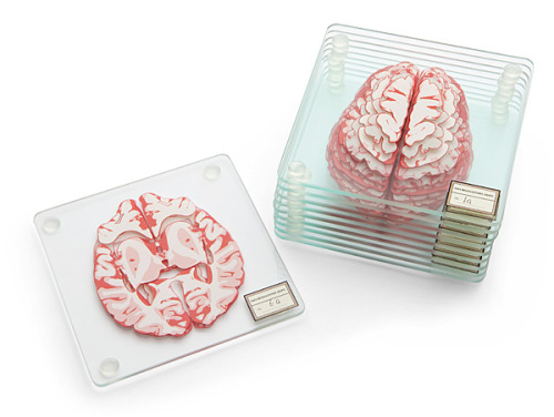 Coasters showing slices of ‘gray matter’ stack up to form a brain by ThinkGeek.