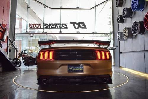 mustanglegendarymachine: Superb Mustang GT, they call it “The King Midas”