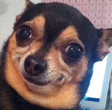 marceddy:  when people are really rude and douchey and everyone still loves them                   
