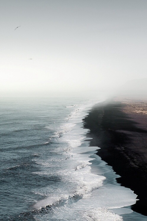 embrace-the-wild:  Want to start your own adventures? Click here to get started!