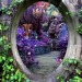 happyheidi:Bev Staunton  & Rachel Stewart Mount Congreve Gardens, Wateford, Ireland