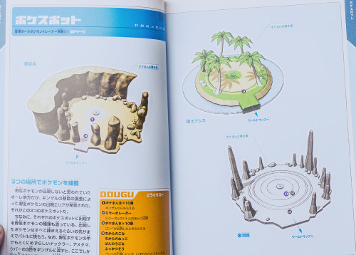 tepigs-trotters: Pokémon XD: Gale of Darkness Japanese strategy guide