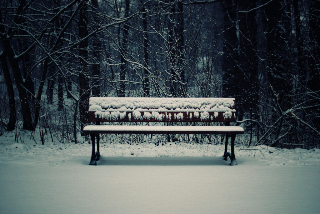 englishsnow:  winter in Poland by Erik Witsoe 
