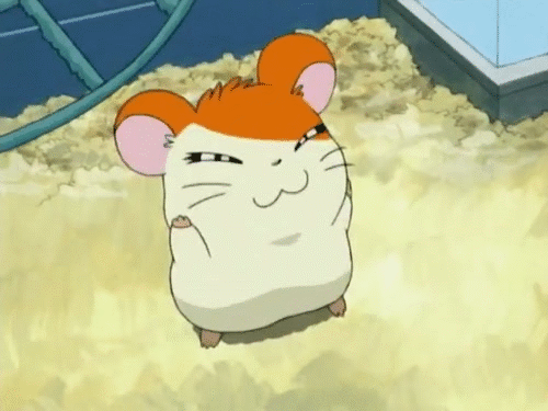 Trotting Hamutaro Tumblr Trotting Hamutaro Tumblr