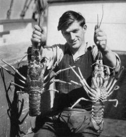 emigrejukebox:  Howell Walker: Tasmanian fisherman with spiny lobsters, 1956