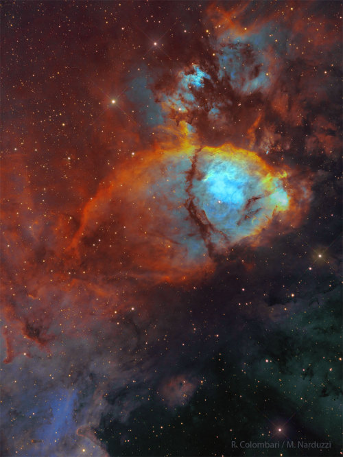 2024 May 1 IC 1795: The Fishhead Nebula
Image Credit & Copyright: Roberto Colombari & Mauro Narduzzi
Explanation: To some, this nebula looks like the head of a fish. However, this colorful cosmic portrait really features glowing gas and obscuring...