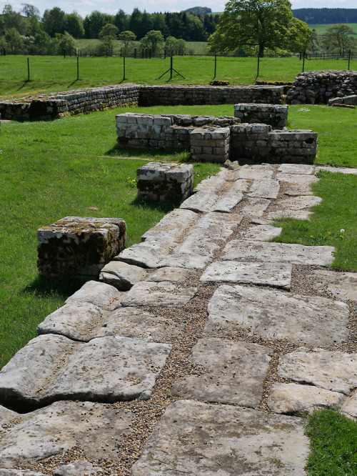 Central Hall, Shrine and Courtyard, Chesters Roman Fort, Hadrian’s Wall, Northumberland, 13.5.18.Thi