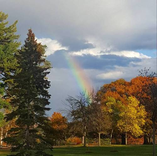 lavenderwaterwitch:Beautiful Rainbow I spotted on my way home from work Instagram – hillaryeli