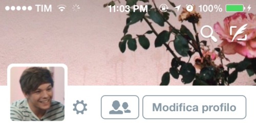 ୨୧˙˳⋆ louis tomlinson layouts ⋆˳˙୨୧ • like or reblog if save. • don’t steal please, respect my work.