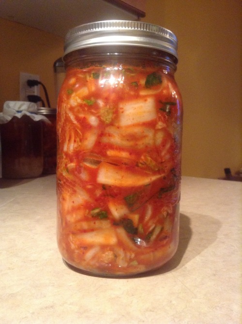 Homemade Kimchi