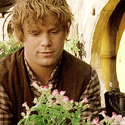 bananaraisinface:“I am in fact, a hobbit in all but size.”-J.R.R. Tolkien