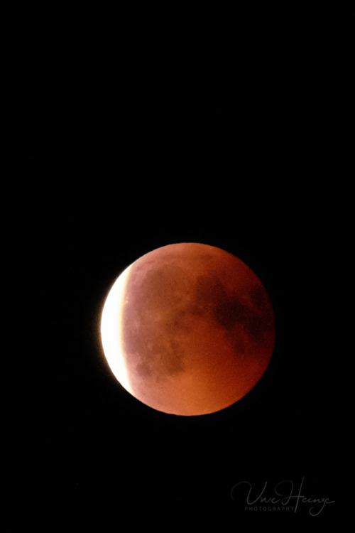 uwhe-arts: shots from the lunar eclipse 2018-07-27 … | uwhe-arts طلع صج القمر الدموي