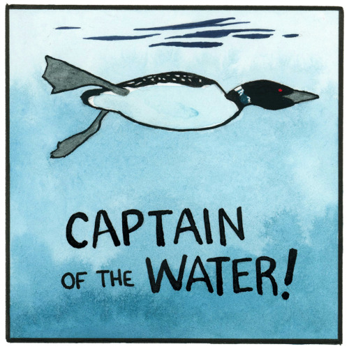 The Mighty Loon!