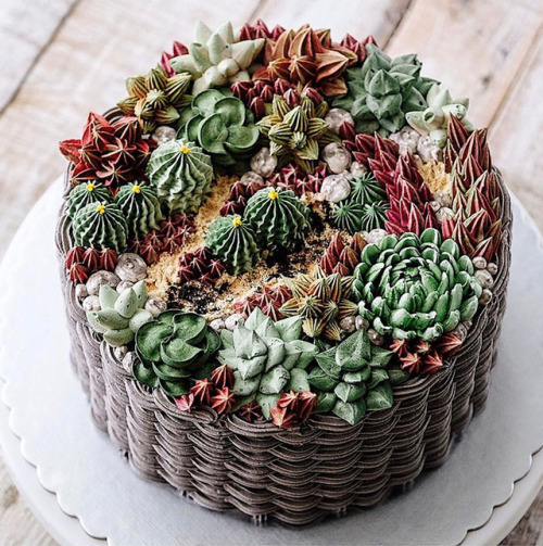 taigas-den: carrioncoyote: bibidebabideboo: (Succulent Cakes By Ivenoven Will Make Every Succulent L