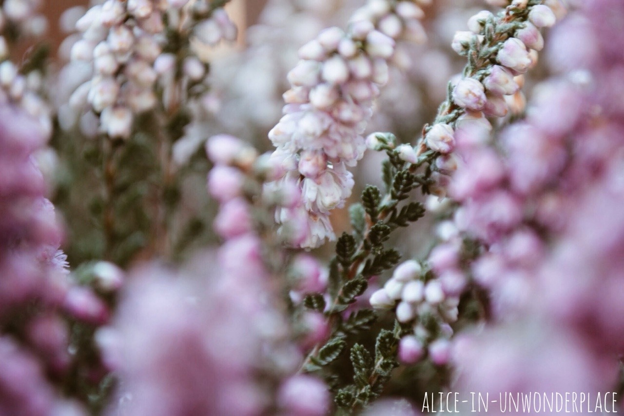 floralls
