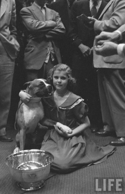 Westminster Kennel Club dog show(George Silk. 1951)