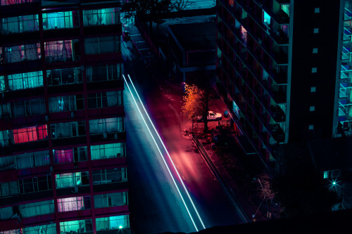 foxmouth:Neon Nights, 2016 | by Elsa Bleda