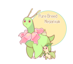 raidraws:  more variationsss cause I can’t stop drawing them they’re too much fun meganium line because I love plant dinos   ♥  