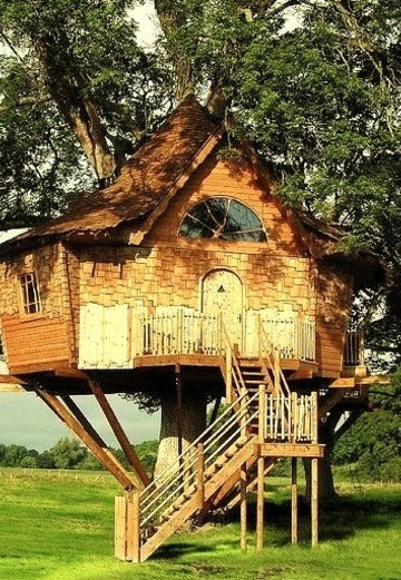 Tree House, Scotland