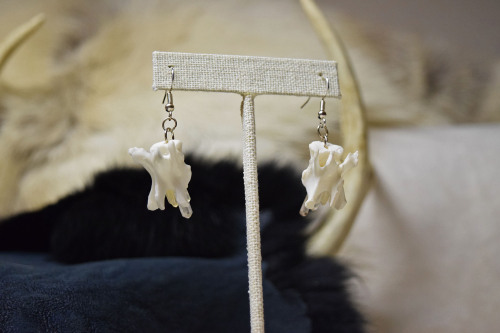 Vertebrae with quartz crystal points earrings. Store | Facebook | Instagram | Ko-Fi