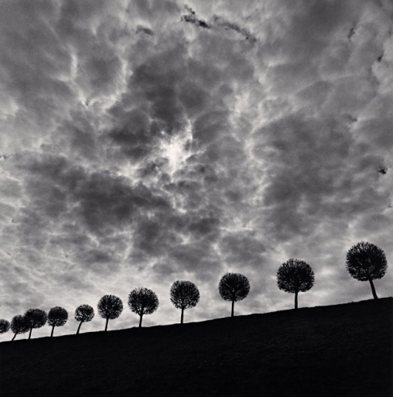 de-salva: Ten and a Half Trees (Peterhof, Saint Petersburg, Russia, 2000)   © Michael