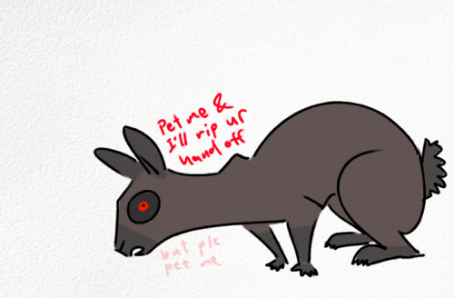 I Love My Bug, She's Part Rabbit I Think