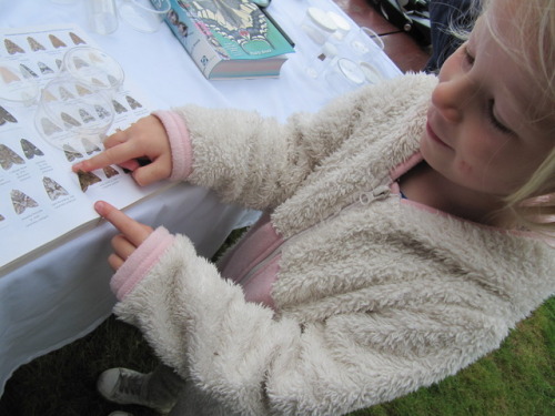 MOTHIFY PROJECT 2016 Woodcraft Group, Berkshire, September 24th Post 4 of 6
A lot of enjoyment identifying the moths was going on. you can see how much the adults enjoyed it too. The thing is that most people don’t get to see moths yet we have 2,500...