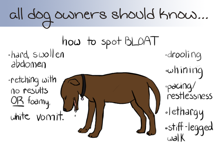 Bloat Tumblr Gallery Bloat Tumblr Gallery