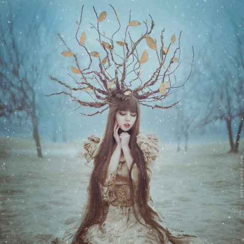 jedavu:Enchanting Fairytale-Inspired Photos by Anita Anti