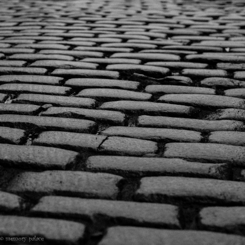 ~lines~