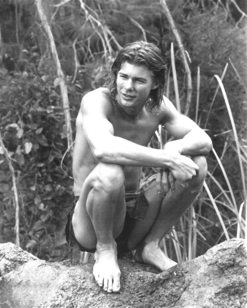 stellabystarlight12:  Jan-Michael Vincent    July 15, 1945 - February 10, 2019  