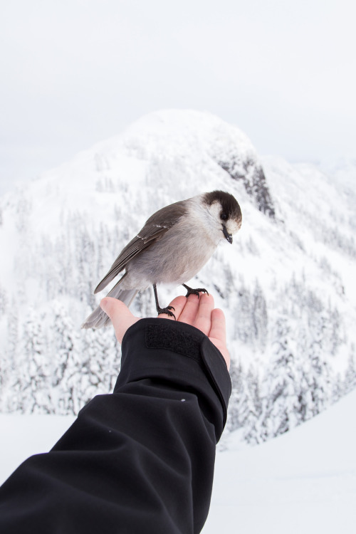 phantastrophe:Photographer: Kyle Szegedi