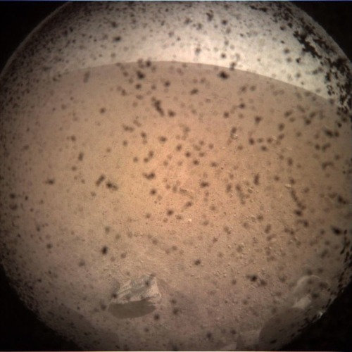 Wow! Check out the first photo from the Mars InSight Lander. Cheers to the @InsightNASA @NASAJPL @NA