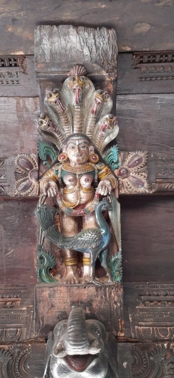 arjuna-vallabha: Kaumari, Cheriyanad Balasubramanya Temple, Kerala, photo by Rajesh Kurup   