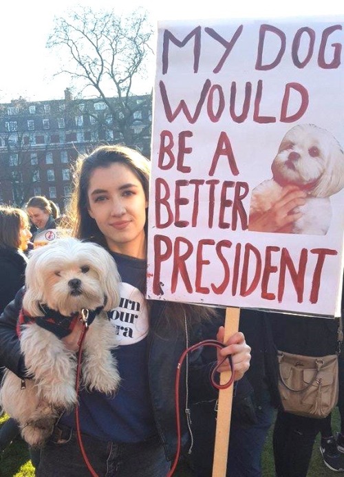 kassidytarala:This post by trollitics shows a reaction to our current president that I think is pret
