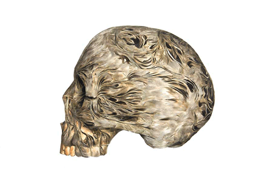 myampgoesto11:  Feather skulls by Laurence Le Constant part of the ‘My Lovely Bones’ series. Images courtesy of Galerie Géraldine Banier My Amp Goes To 11: Twitter | Instagram 
