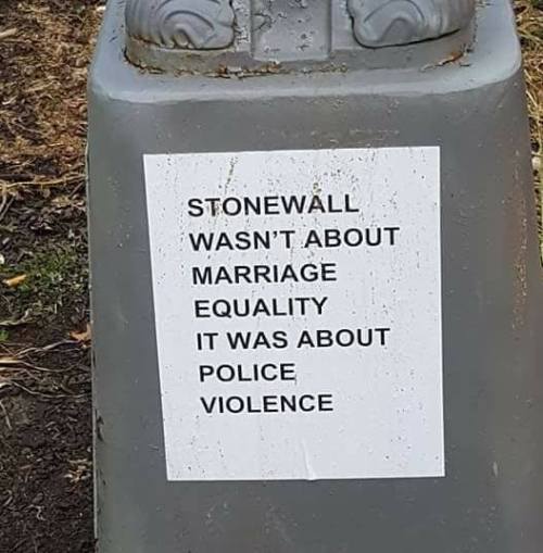 &ldquo;Stonewall wasn&rsquo;t about marriage equality, it was about police violence.&rdq