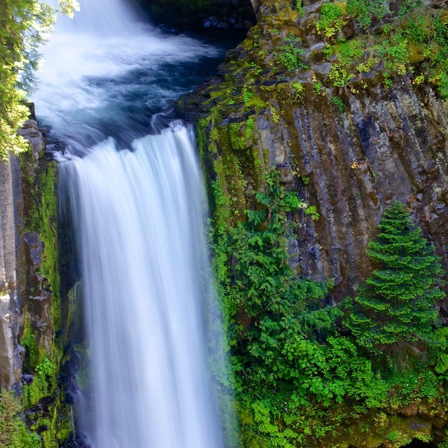 zoomdak:
“ Toketee Falls, Oregon. #toketee #waterfall #wanderlust #waterfallwednesday #exploregon #bestoforegon #pnw #oregon #traveloregon #outdoorproject #oregonexplored #PNWonderland #UpperLeftUSA #getlostclub #northwestisbest #thebest_capture...