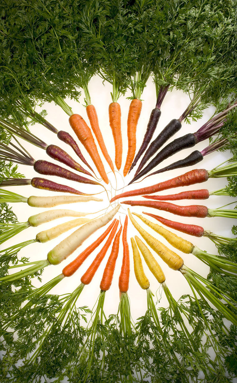 archiemcphee:  Today, thanks to this photo by Stephen Ausmus, we learned that carrots