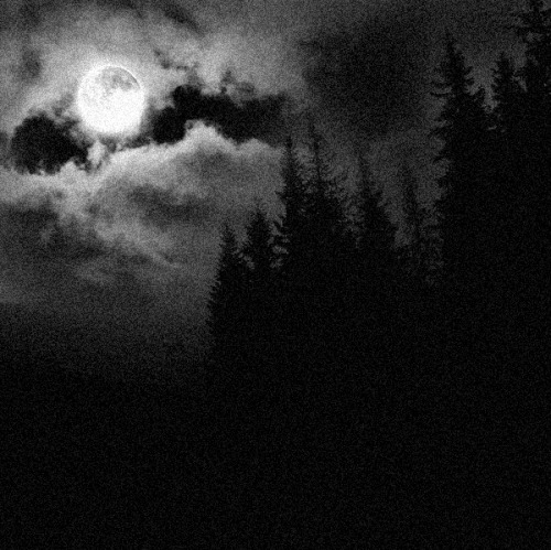 dark-recesses-of-the-soul:  ☽ dark, horror, eerie, macabre ☾   