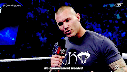 rwfan11:  r-a-n-d-y-o-r-t-o-n:  sethsthrone:  #InsultsOuttaNowhere  Welcome to the
