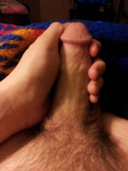 tumblr photo calohinchilli 4