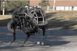 thisistheverge:  The world’s fastest running robot is off the leash A relative of Boston Dynamics’ Cheetah robot, which last year managed to outpace the world’s fastest man Usain Bolt on a treadmill, is now able to run outdoors untethered. Named