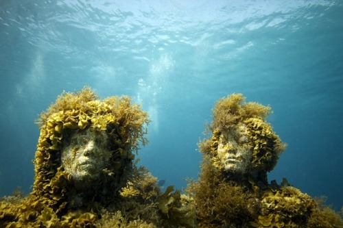 mymodernmet:  Underwater Sculptures Celebrate Life on Earth and Protect Aquatic Ecosystems 