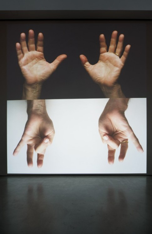 vanished: Bruce Nauman - For Beginners, 2010 