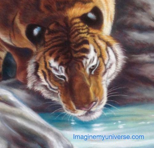 2022 is on its way, time to ring in the year of Tiger! Here is a close up on my most recent tiger pi